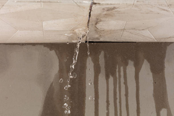Professional Structural Drying technician working in Avoca, MI